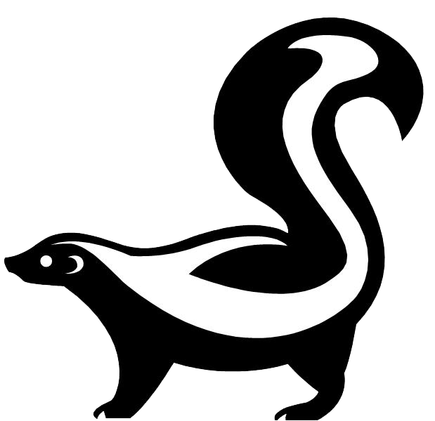 Cartoon drawing of Skunk